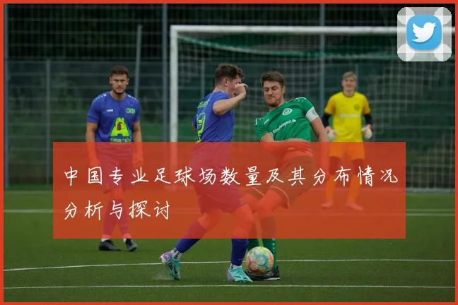 中国专业足球场数量及其分布情况分析与探讨