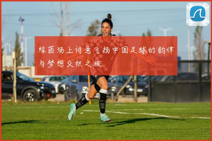 绿茵场上诗意飞扬中国足球的韵律与梦想交织之旅
