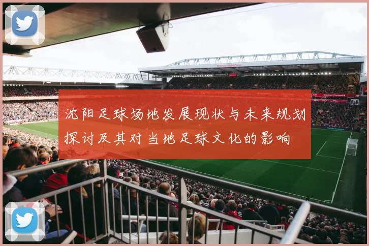 沈阳足球场地发展现状与未来规划探讨及其对当地足球文化的影响