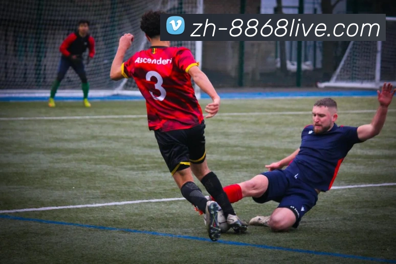 多媒体互动体验